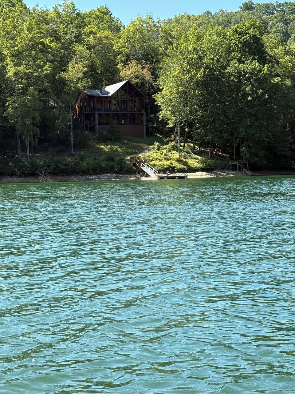 View from the Lake During Summer