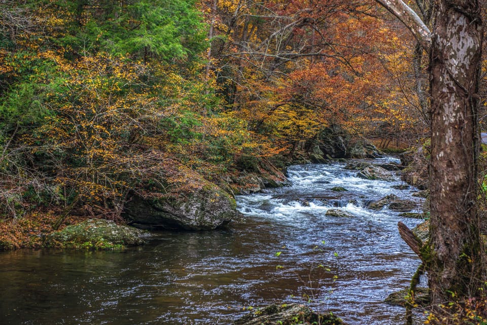 Immerse yourself in nature by the serene river, surrounded by vibrant fall colors!