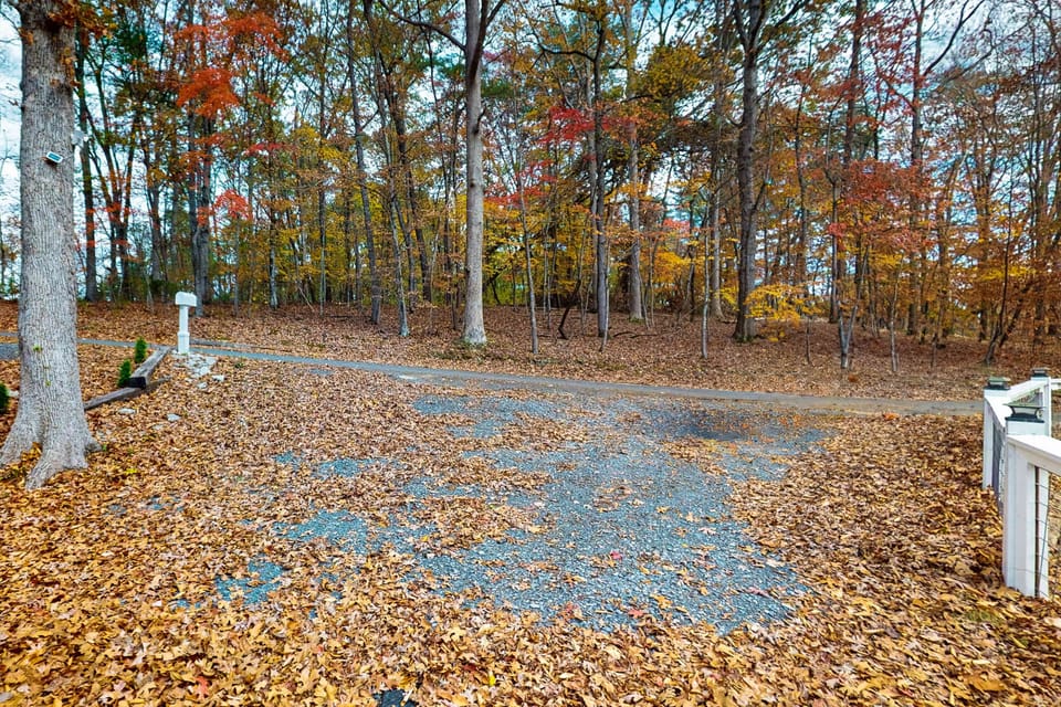 Gravel parking area surrounded by trees and fallen leaves.