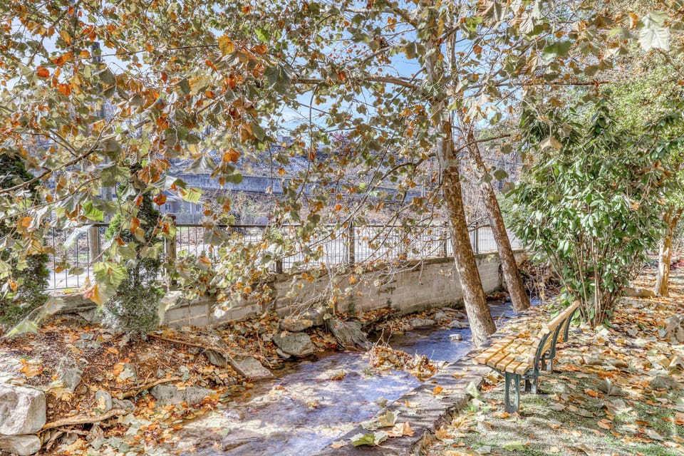 Outdoor Retreat awaits. Serene creekside views with vibrant foliage, perfect for peaceful afternoons!