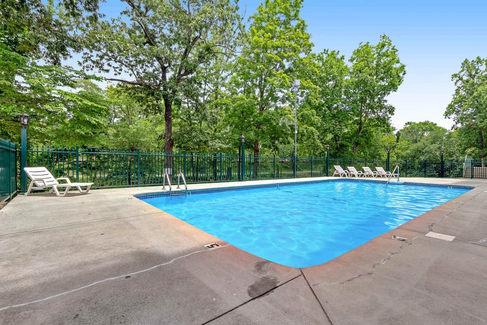 Poolside Retreat, dive into fun under the sun in our refreshing pool, surrounded by nature's beauty!