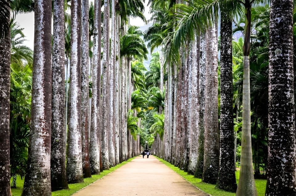 Araripina Botanical Garden - 3 miles