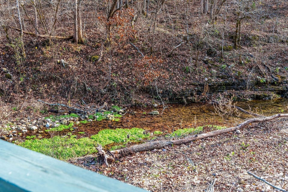 Brushy Creek is just behind the cottage