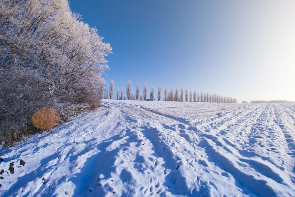 Winter scenery in Slovenia
