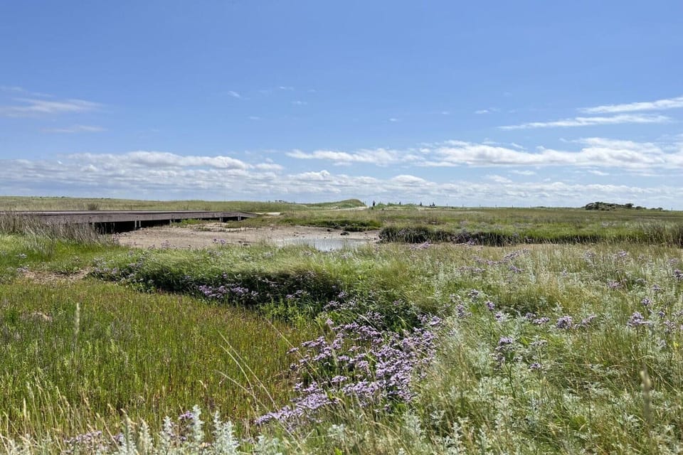Surroundings [summer] (1-5 km)