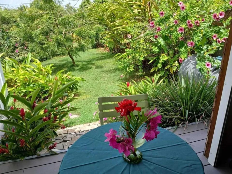 Garden view