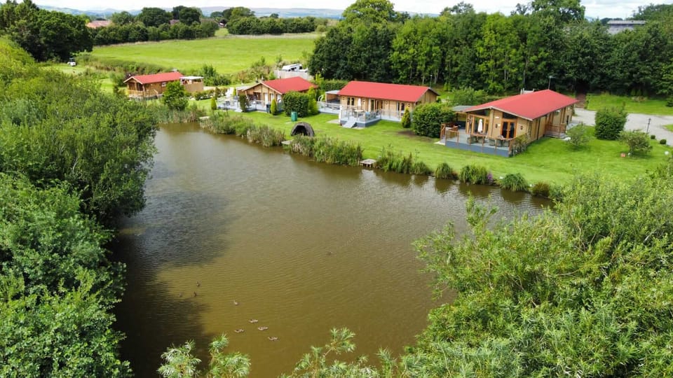 View of pond