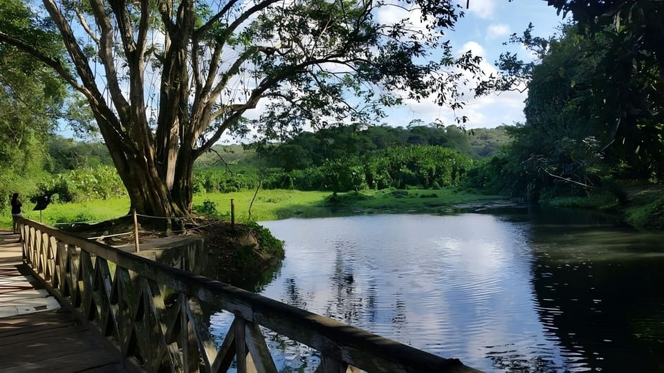 Explore lush riverside trails and soak up peaceful scenery.