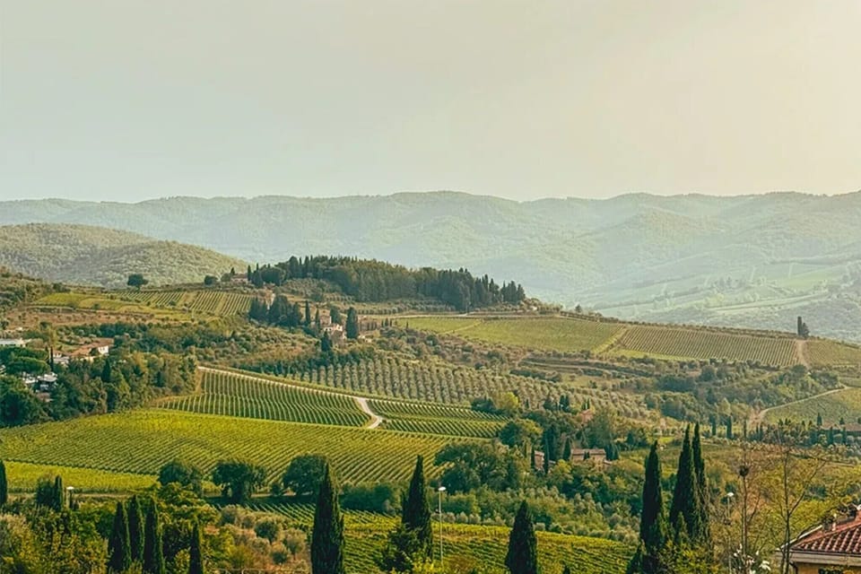 Region [summer] (>5 km)