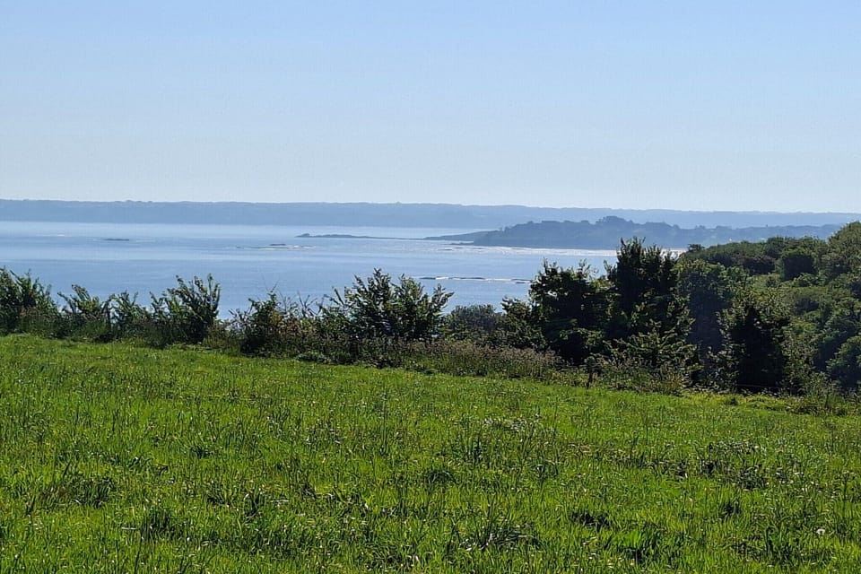 View from Holiday Home [summer]