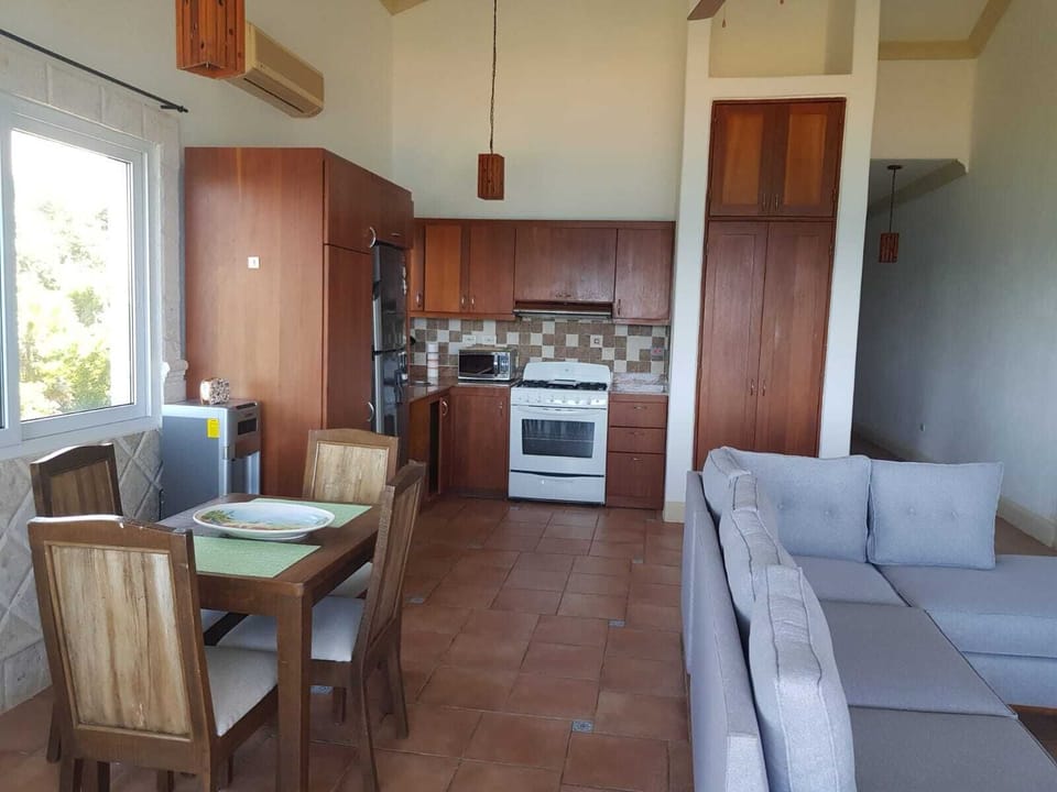 open concept kitchen, dining, living room