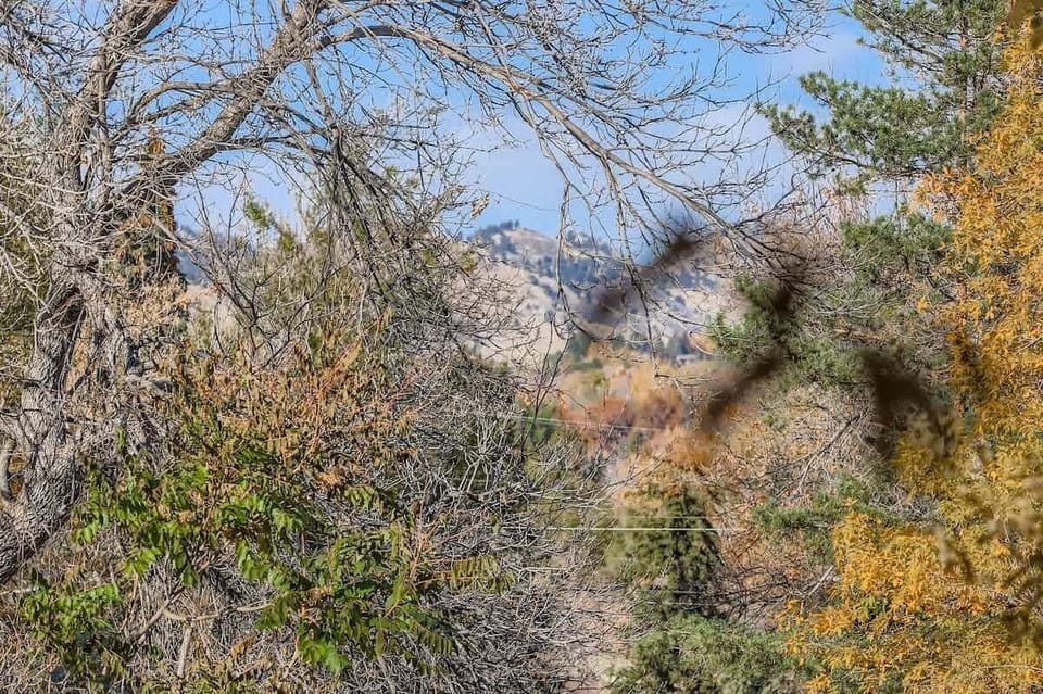 Enjoy nature right outside