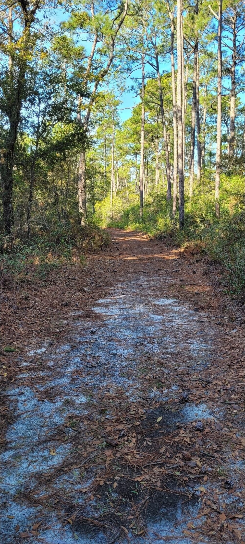 Hiking trail in wildlife refuge