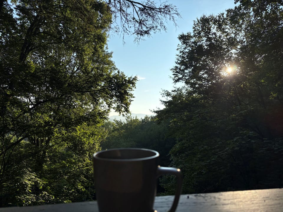 View from property