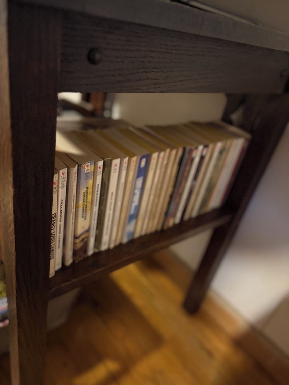 Do you like westerns??? We have Louis Lamour books!