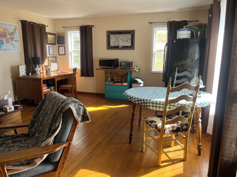 Dainty table with cowhide chairs! Microwave and toaster oven