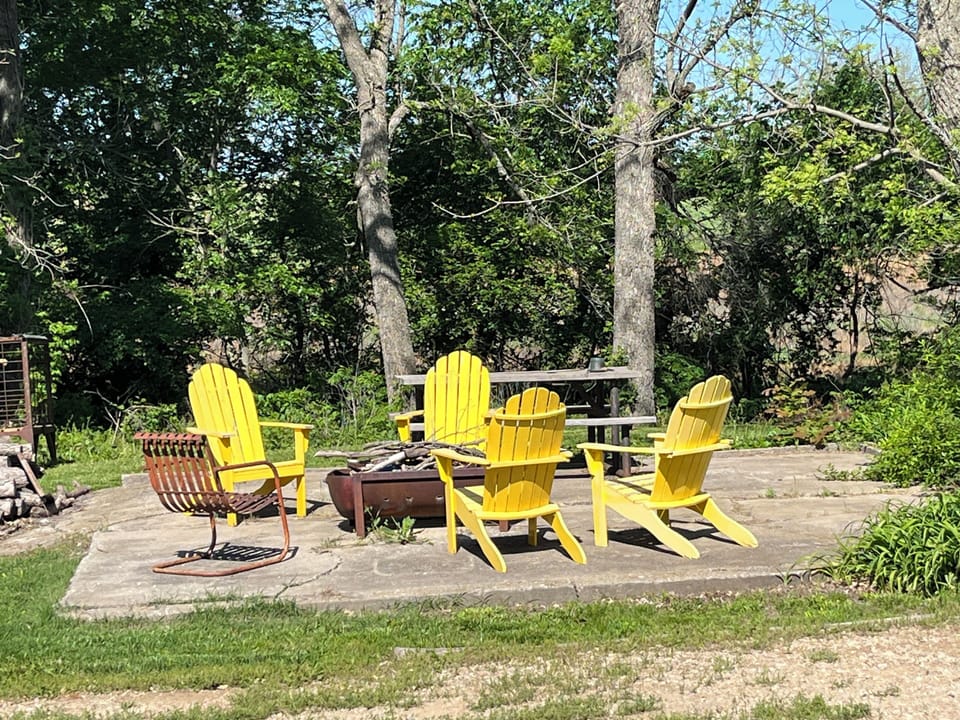 Fire pit and picnic table!  Great for bird watching and star gazing! 