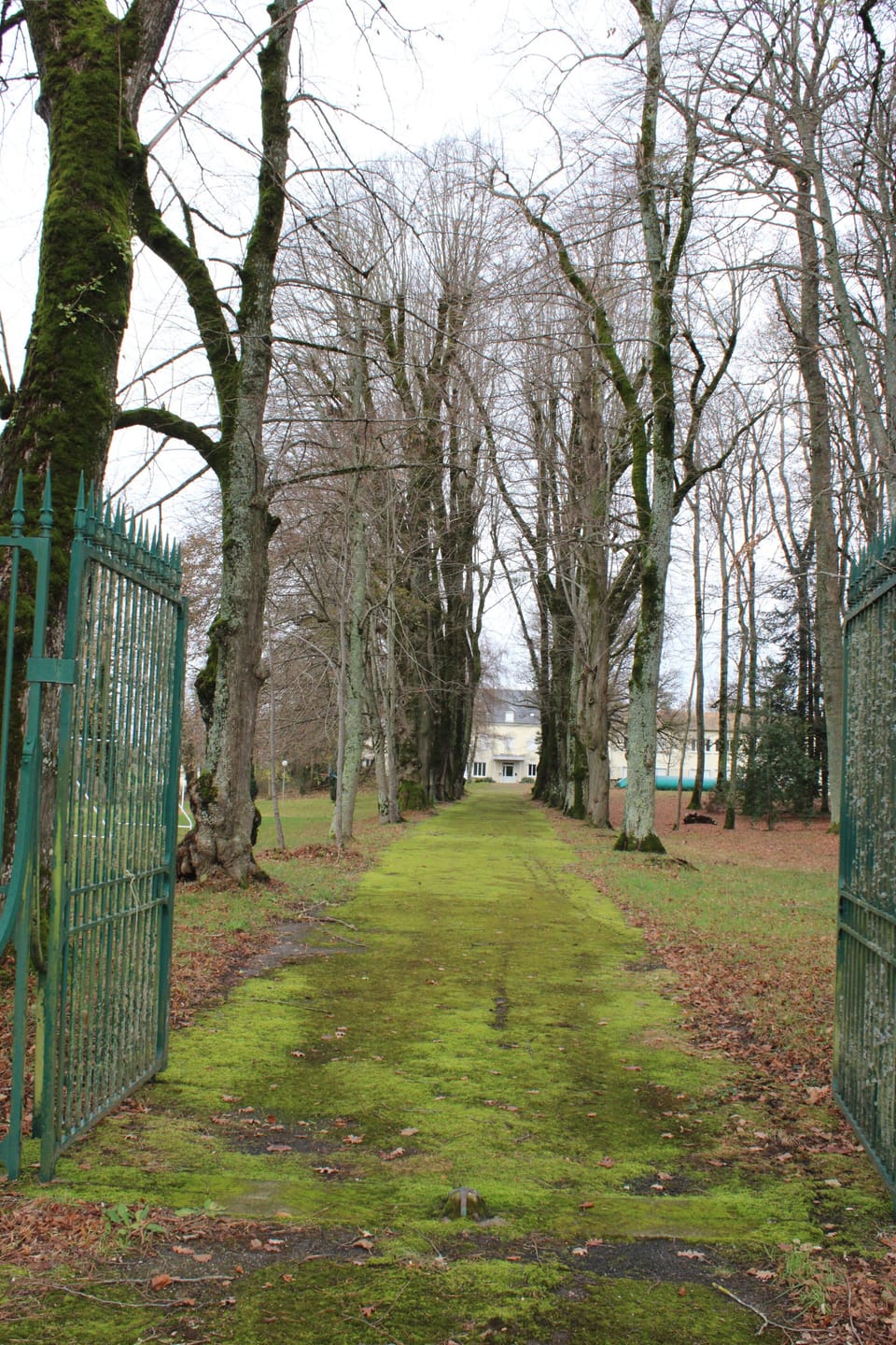 Property grounds
