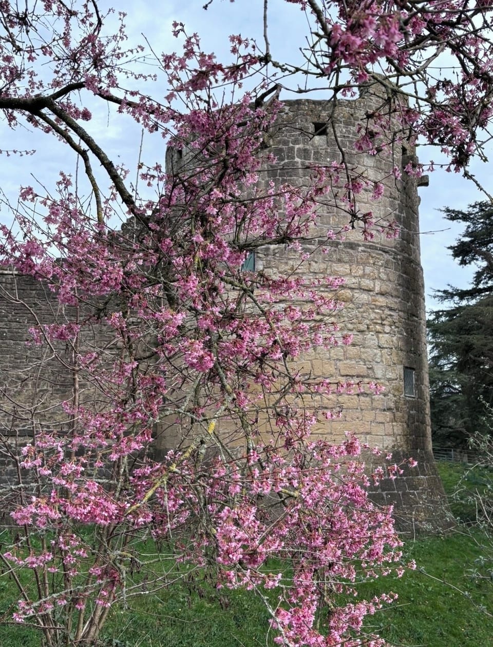 Caldicot castle only 15min walk away or few min by car (free parking)