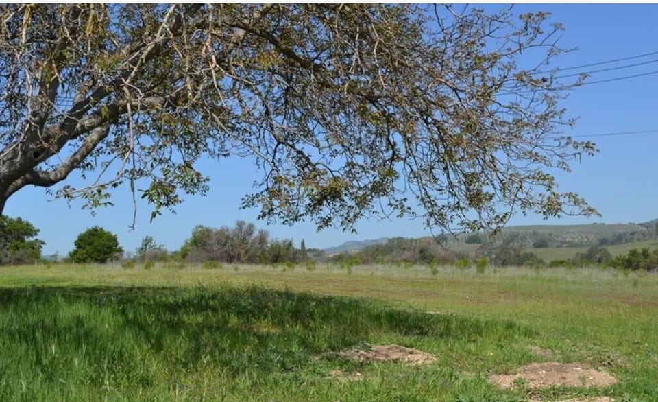 Acreage