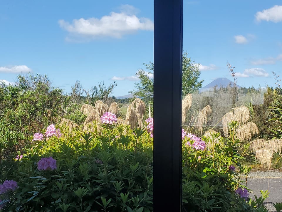 Summer flowers