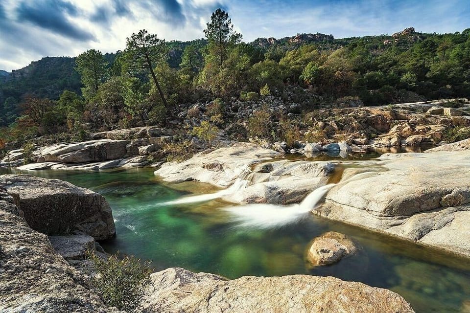 Miscellaneous