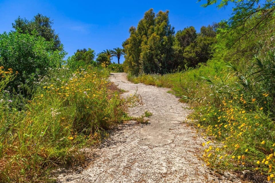 Foggia Beach is just a few meters from the house, easily accessible on foot via a nearby road. Keep in mind that the return journey is uphill, so be prepared for a slight challenge if you decide to walk!
