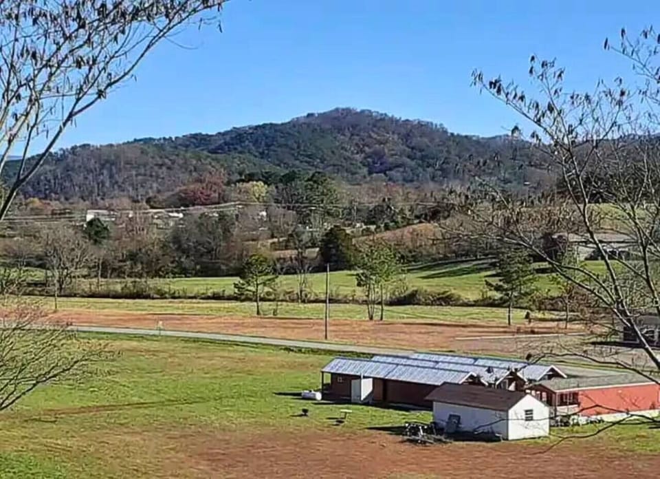 This beautiful Mountain View is right outside the cabin.