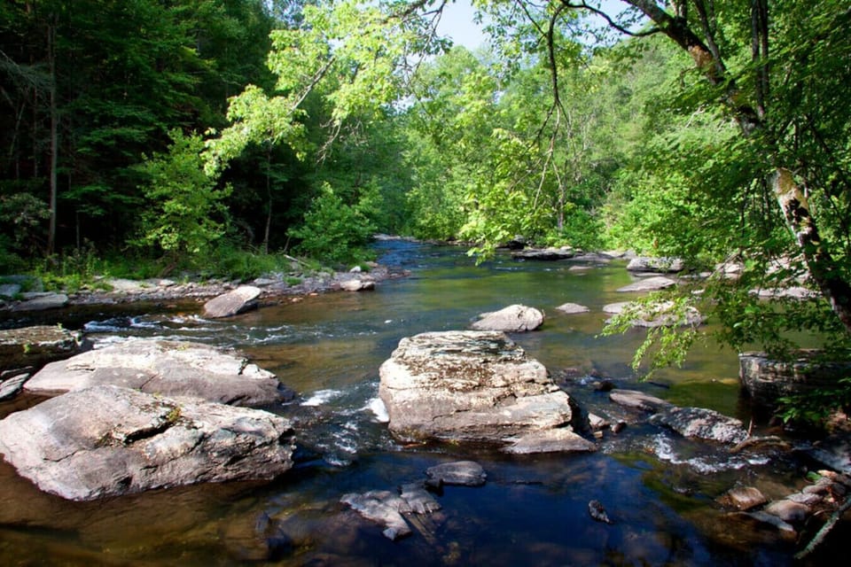 Tellico River – 5 min driveCrystal-clear mountain water perfect for fly-fishing, picnicking, and scenic drives along River Road.