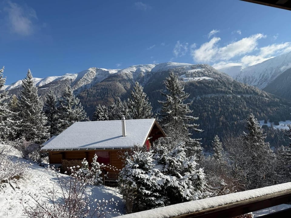 View from the dining room