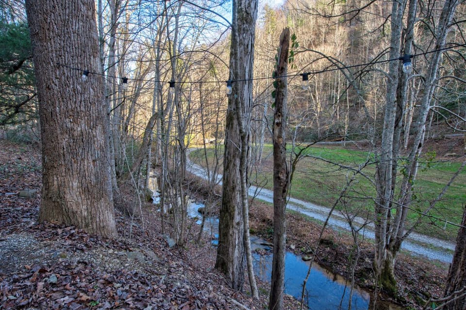 View from Clear Fork Farm's relaxing deck