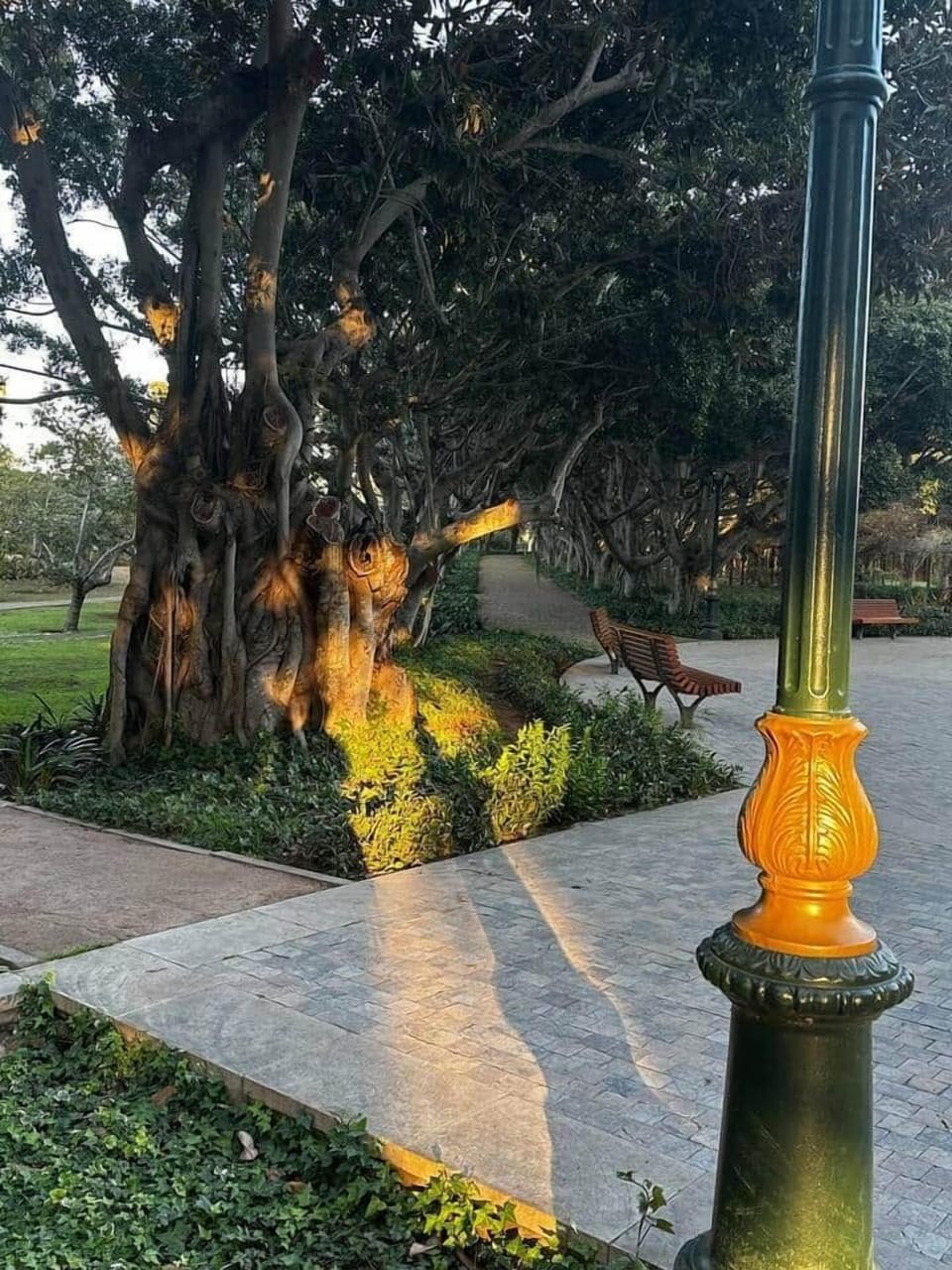 Property grounds