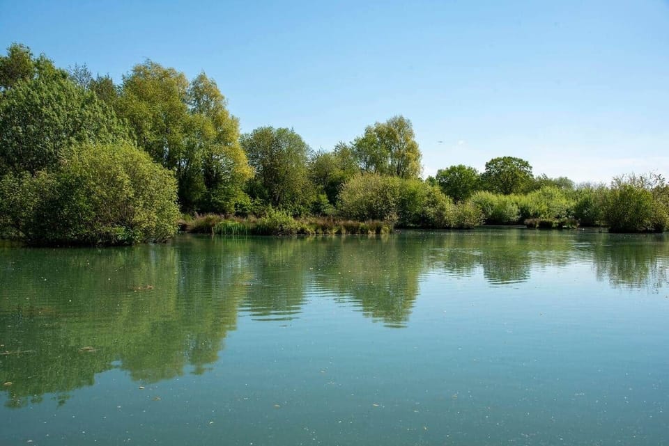 Miscellaneous