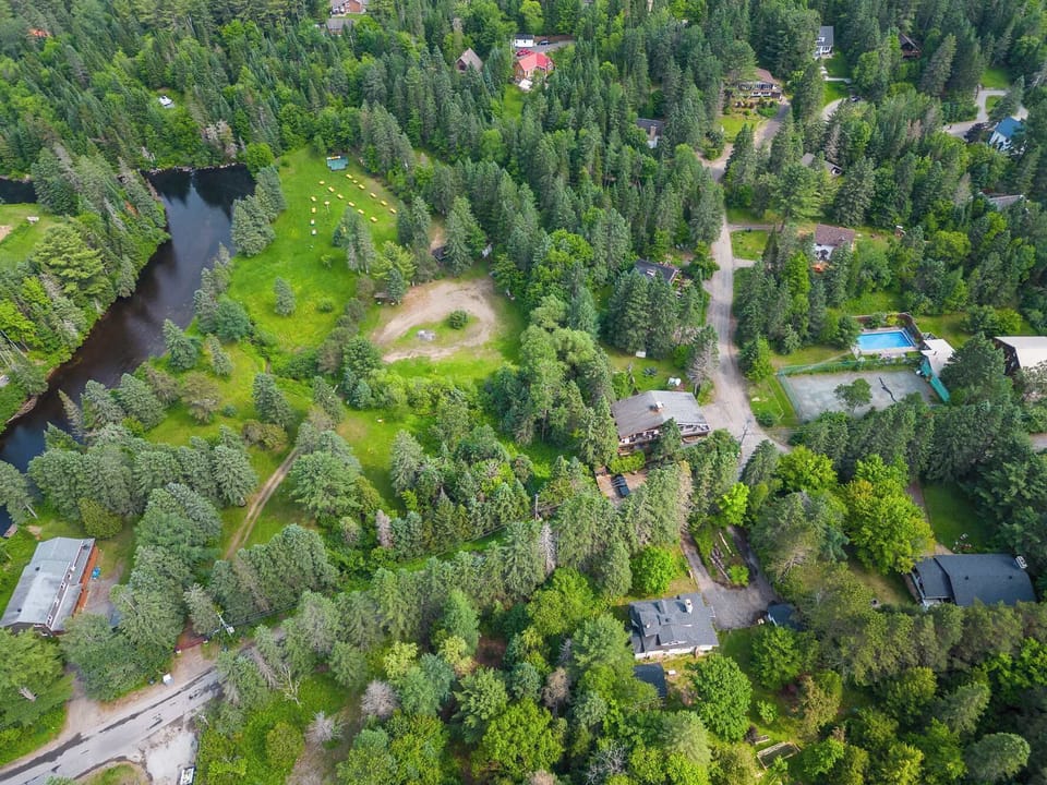     Scenic overhead view highlighting the peaceful wooded neighborhood