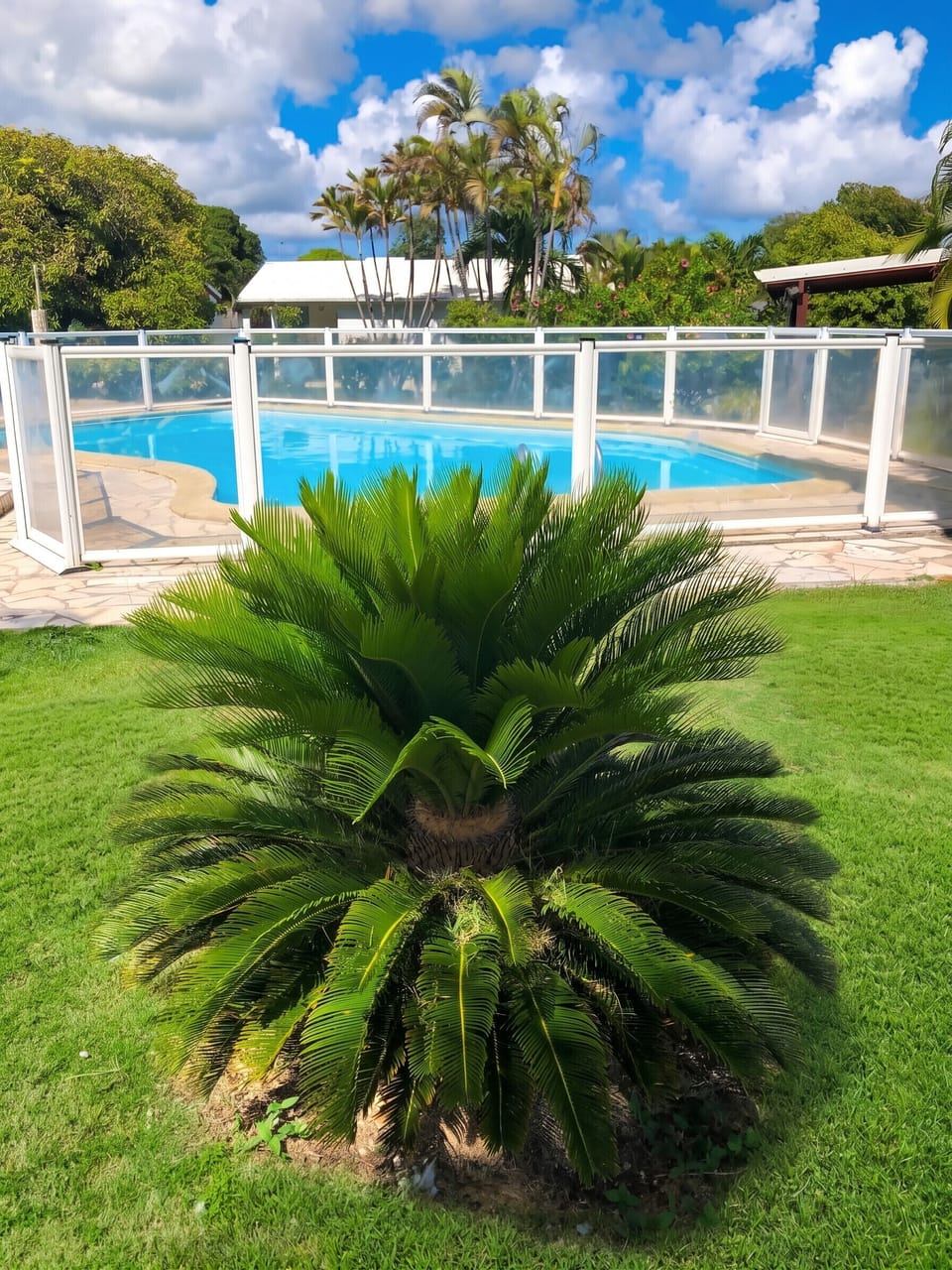 Swimming pool view