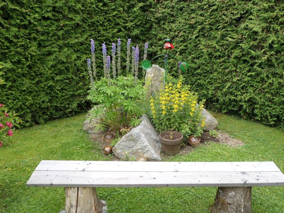 7 - Apartment Krammerkogel - Guesthouse Kreischberg - Mayer Bed and Breakfast in Styria