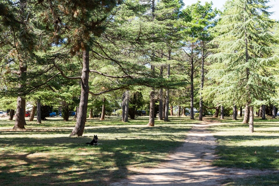Surroundings [summer] (1-5 km)