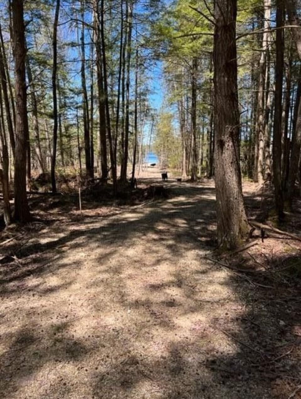 Path to bridge and beach