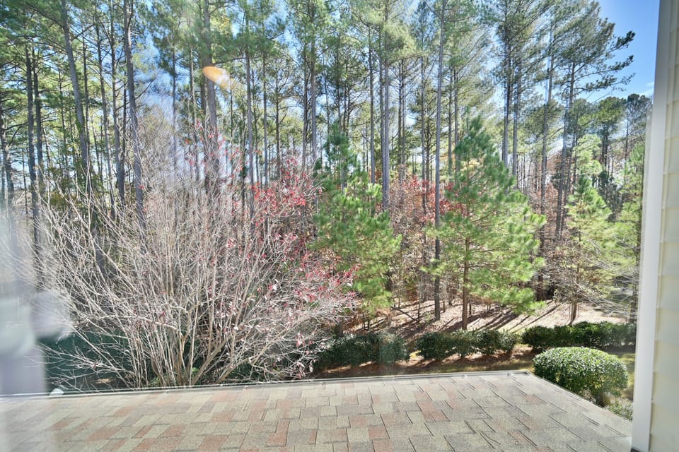 A relaxing View from the Patio. Fresh Air greenery
