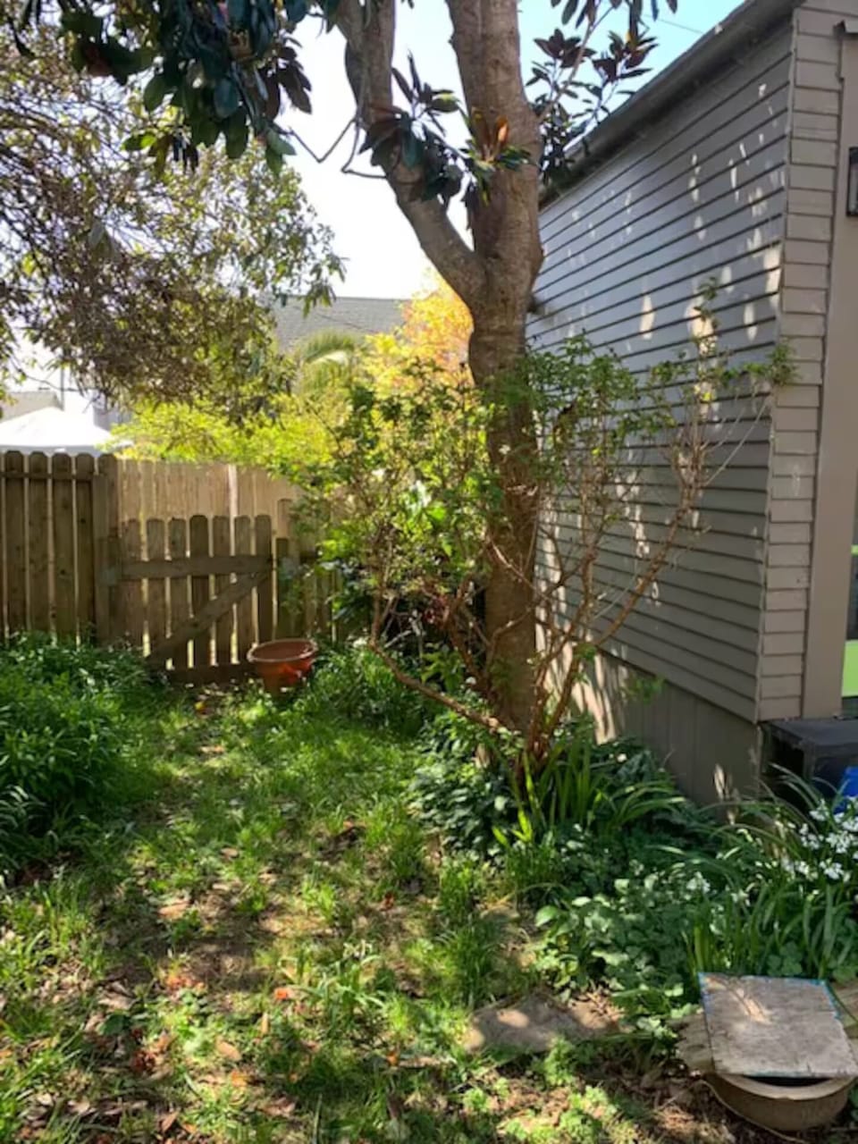garden