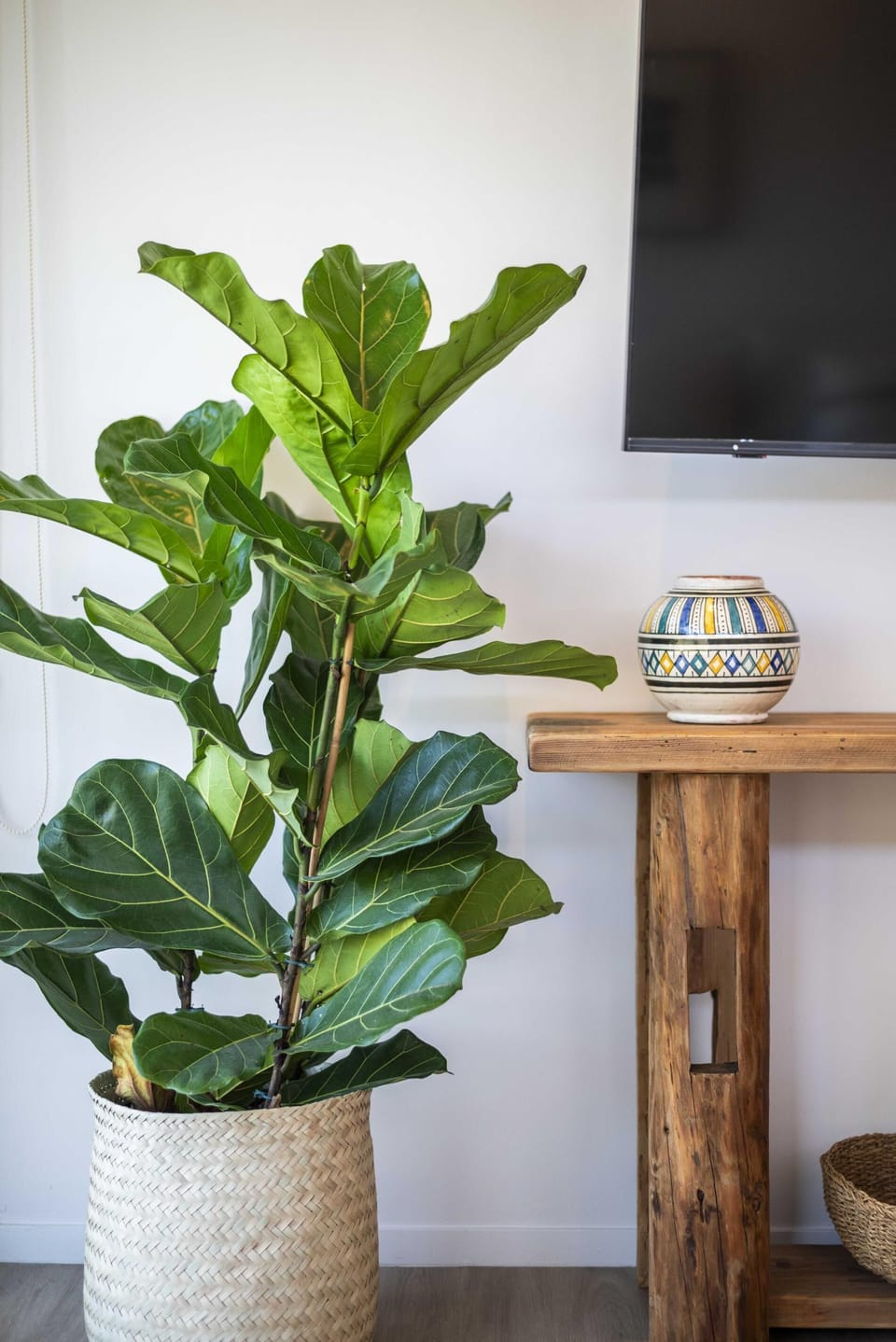 Garden Apartment at The Beach House (34138)