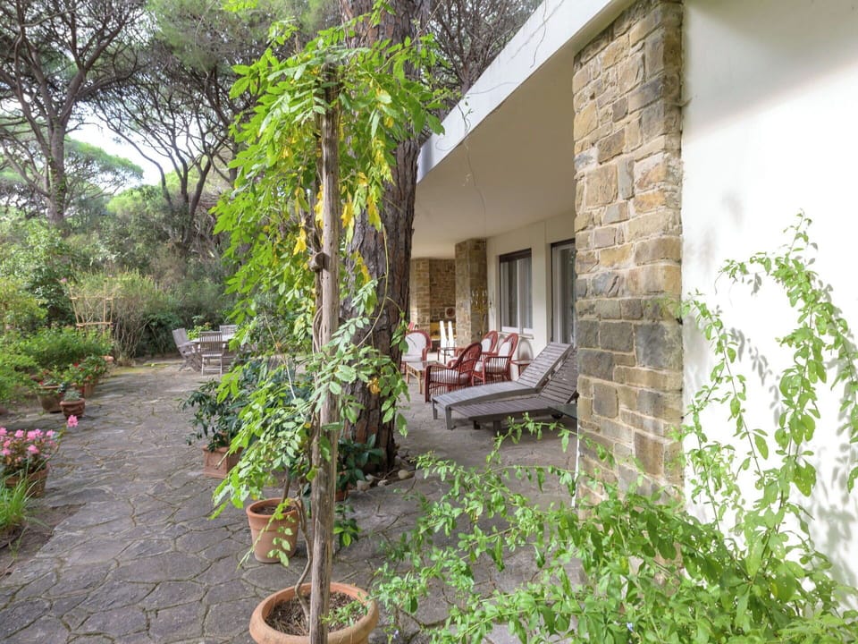 Shrub, Garden, Groundcover, Shade, Brick, Backyard, Landscaping, Yard, Flagstone, Houseplant