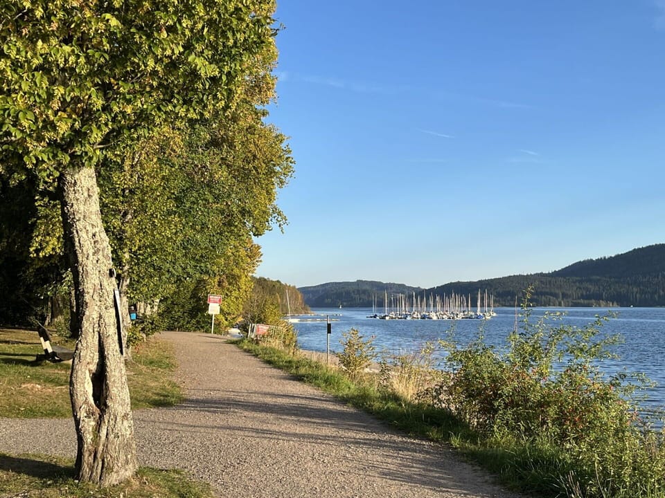 Water, Body Of Water, Coastal And Oceanic Landforms, Coast, Bank, Lake, Shore, Sea, Sound, Loch