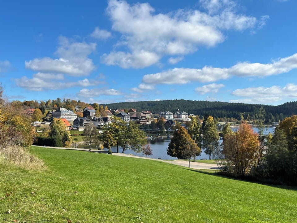Nature, Landscape, Bank, Lake, Reservoir, Meadow, Lawn, Loch