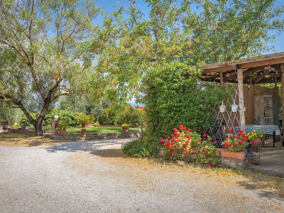 Shrub, Garden, Flowerpot, Spring, Shade, Landscaping, Backyard, Yard, Outdoor Structure
