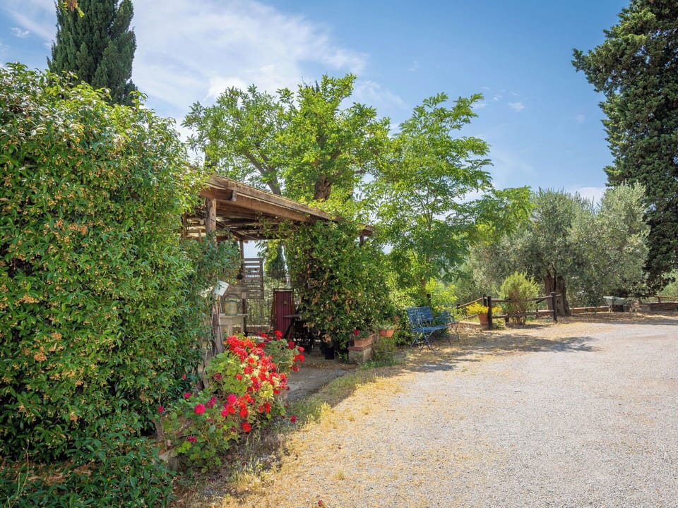 Shrub, Garden, Plant Community, Spring, Shade, Landscaping, Flowerpot, Yard, Backyard