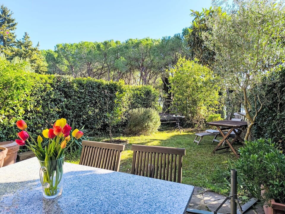Leaf, Shrub, Garden, Furniture, Outdoor Furniture, Shade, Spring, Backyard, Landscaping, Lawn
