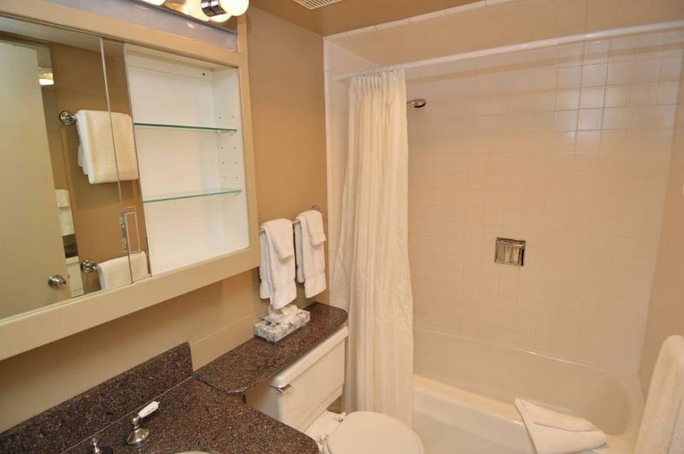 BATHROOM ASPEN CONDO