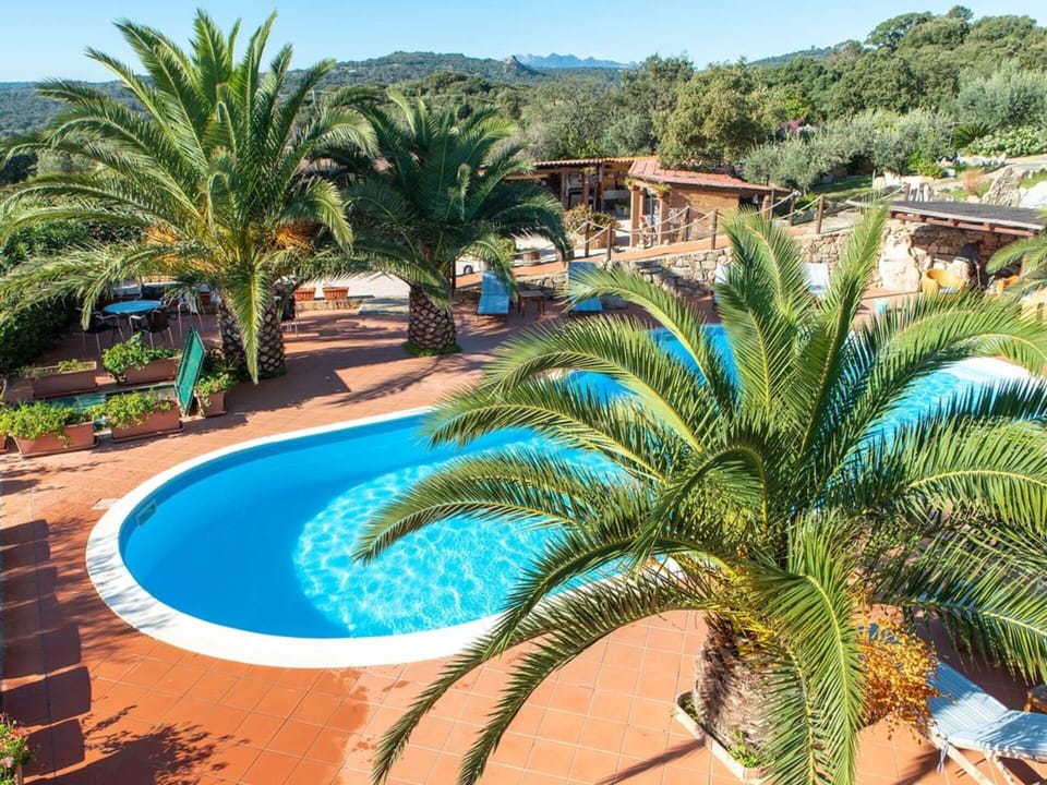 Garden, Main, Outdoor, Pool
