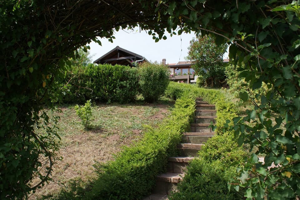 Garden [summer]